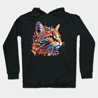 Colorful Cat Kitten Lover - Be Happy Everyday Hoodie